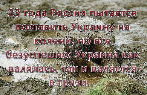 ��� - 25 ������� 2014 � 12:04