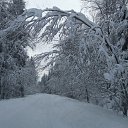 ���� ��������, �����, 46 ��� - ��������� 25 ������� 2014 � ������ ���� ����������