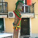 Lissabon �� ������� ���� ����������