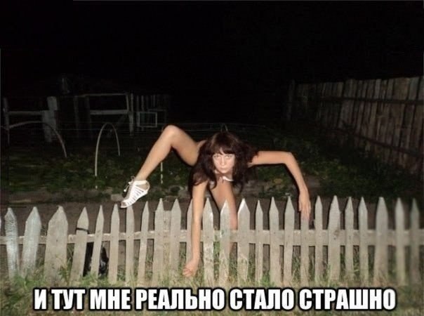   | , ,  - 4  2014  16:05