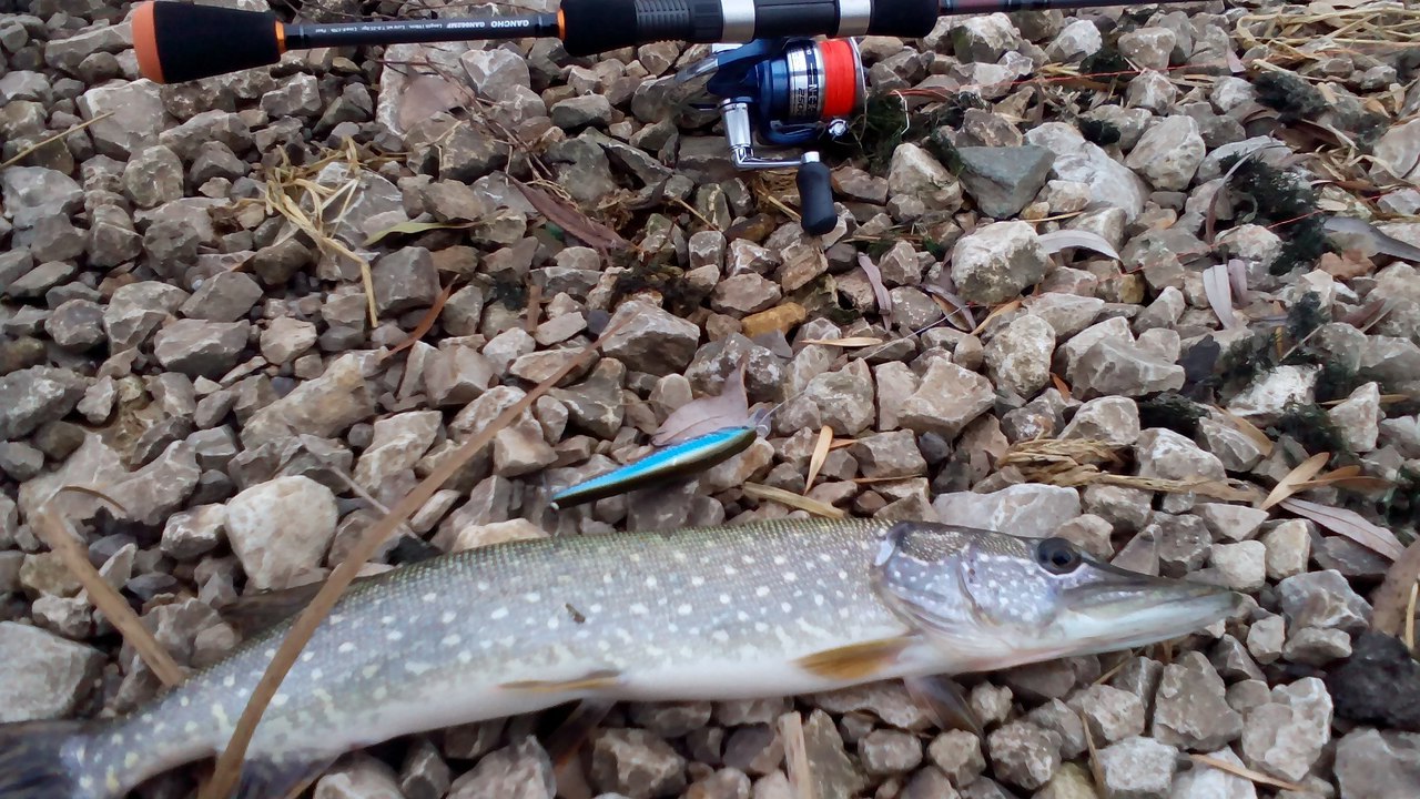 ����� ������� - 22 ������ 2014 � 11:37 - 3