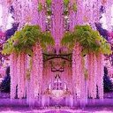 ���� ���������, ��������, 45 ��� - ��������� 3 ������� 2014 � ������ ������ ��������