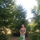 ���� �����, �����, 73 ���� - ��������� 8 ������� 2014