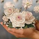 ���� �����, �����, 63 ���� - ��������� 6 ������� 2014