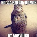 ���� �������, ������ - ��������� 10 �������� 2014 � ������ ������ ��������