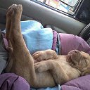 �������... �� ������� �������� �����