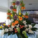 ���� ������, ������, 61 ��� - ��������� 24 ������ 2014 � ������ ���� ����������
