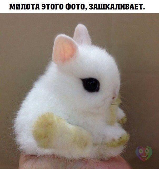   :D - 19  2014  16:53