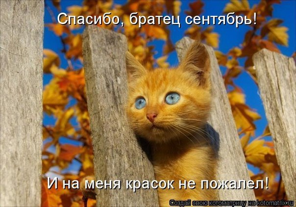    - 30  2014  06:10