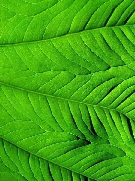 ,     ,     .    .  ... - 3