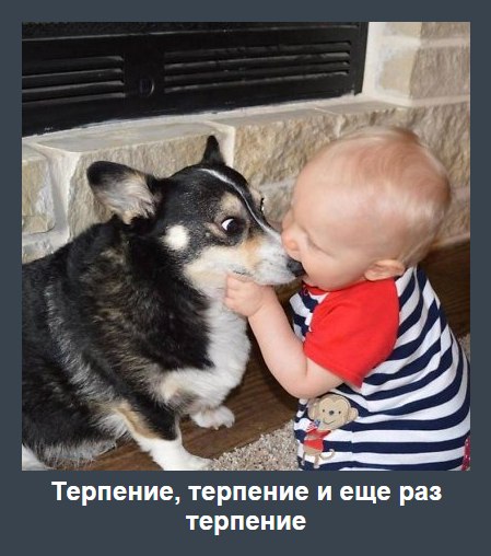    <a href=