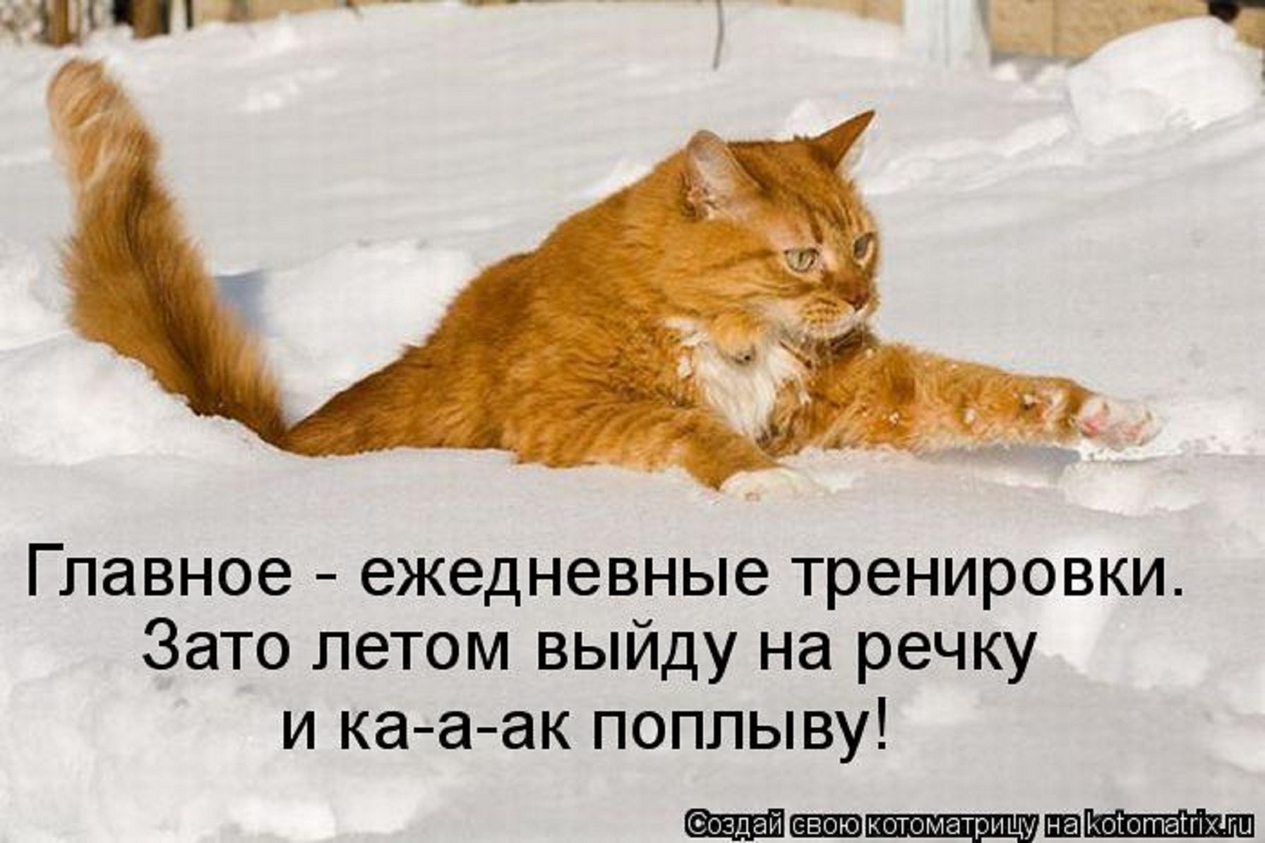 =