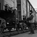  Ovod, , 50  -  31  2014   