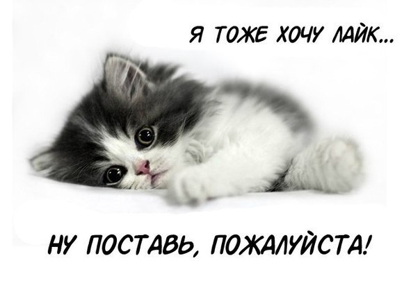    - 25  2014  10:16