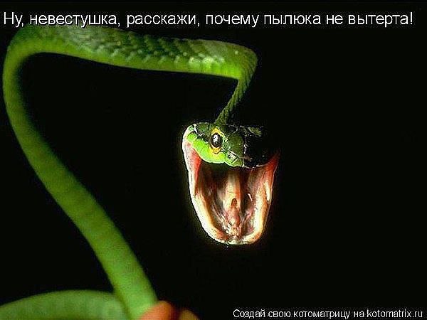 Радостный человек...видит во всем радость. Жадный....причитает по поводу жадности других. ...