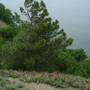 ���� ��������, ������, 52 ���� - ��������� 9 ������� 2014 � ������ ���� ����������