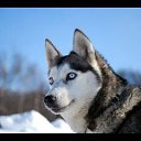 ���� ������, ����, 39 ��� - ��������� 23 ������ 2014