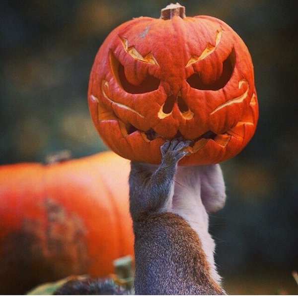 tumblr - 26  2014  09:52