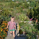 ���� �����, ���� - ��������� 24 ������� 2014 � ������ ������ ��������