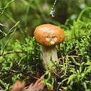 ���� �����, �����-��������� - ��������� 28 ������� 2014 � ������ �������� ����� 2014�