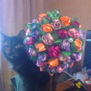 ���� �����, ������, 61 ��� - ��������� 4 ������ 2014 � ������ ���� �������