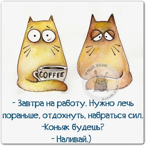   - 12  2014  01:14