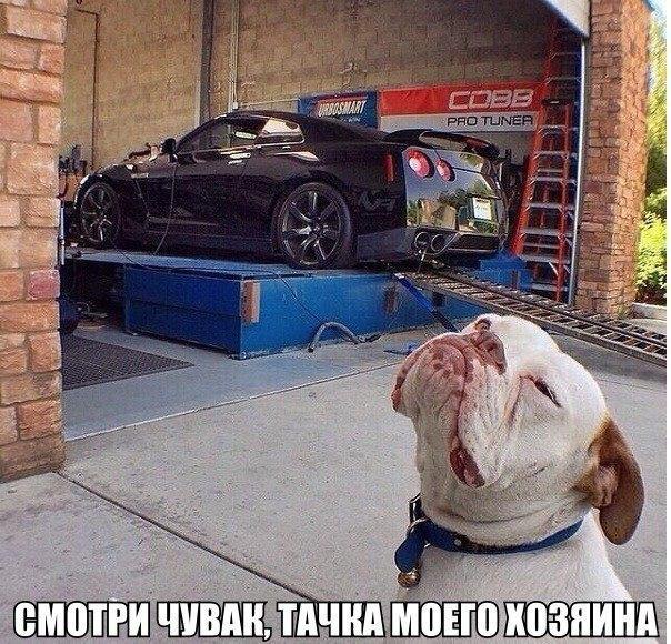    - 5  2014  07:35