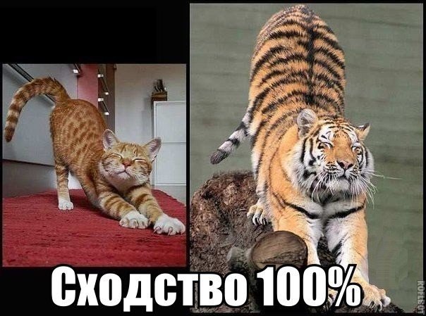    :D - 4  2014  10:11