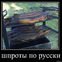 ���� �������, ������, 66 ��� - ��������� 11 ������� 2014 � ������ ������ ��������