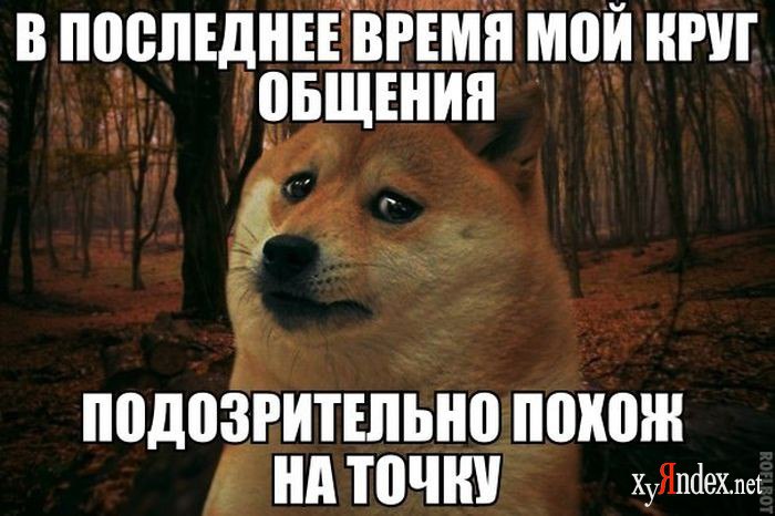  - 11  2014  20:00