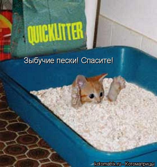  !