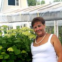 ���� ��������, ������ ��������, 68 ��� - ��������� 21 ������� 2014 � ������ ���� ����������