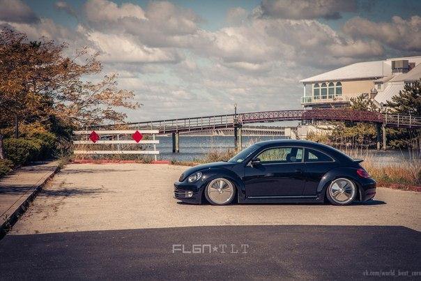 Volkswagen Beetle - 5