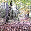  Skoj,  -  16  2014   - 