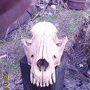 ���� ������, ������, 46 ��� - ��������� 22 ������� 2014 � ������ ���� ����������