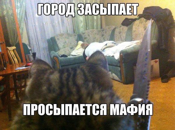  - 9  2014  00:10