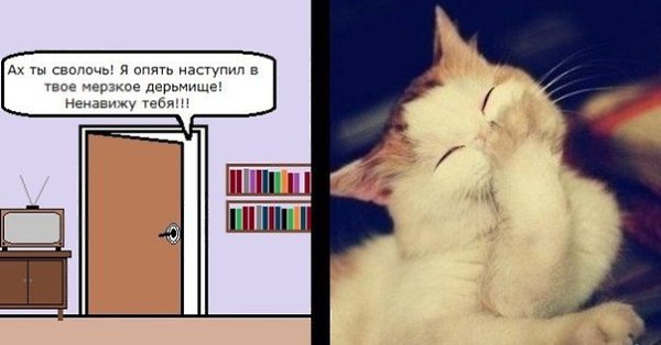       - 5  2014  17:15