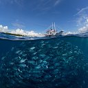 ���� �**, �������, 60 ��� - ��������� 16 �������� 2014 � ������ ������ ��������