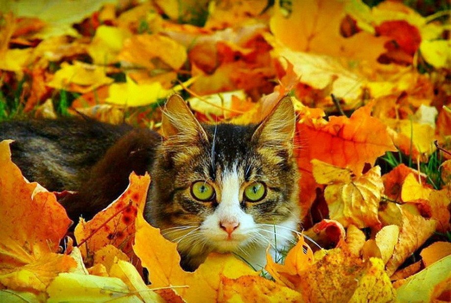    :3