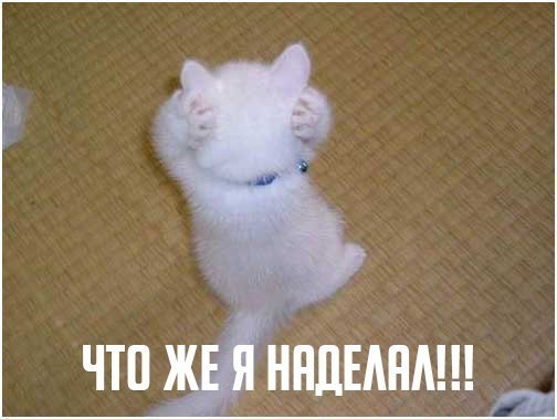  -  - 13  2014  14:06
