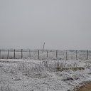   , -, 51  -  4  2014     