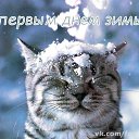 ���� ������, ��������, 72 ���� - ��������� 3 ������� 2014 � ������ ���� ����������