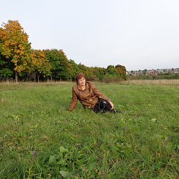 ���� �������, ������� - ��������� 21 �������� 2014