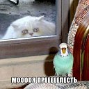 ���� ������, �������������, 61 ��� - ��������� 15 �������� 2014 � ������ ������ ��������