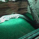 ���� ������, ������, 54 ���� - ��������� 8 �������� 2014 � ������ ��������