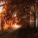  Sergei, , 74  -  24  2014     -  
