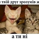 ���� ���������, ��������� - ��������� 14 ������ 2014 � ������ ������ ��������