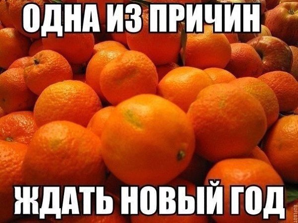 SportFeed - 4  2014  23:54
