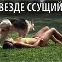���� ����, �����, 40 ��� - ��������� 12 ������� 2014 � ������ ������