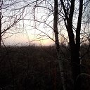 ���� ������, ��������, 55 ��� - ��������� 11 ������ 2014 � ������ ���� ����������